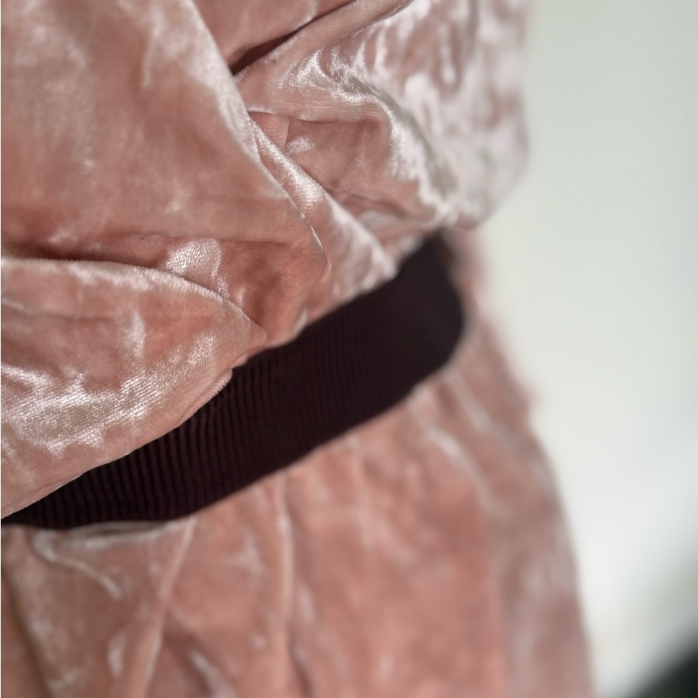 Eva Mendes for New York & Company Pink Velvet Long Sleeve Dress - Picture 4 of 5